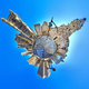 Image for article titled Shooting Challenge Polar Panoramas Gallery